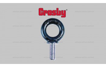 MACHINERY EYE BOLT