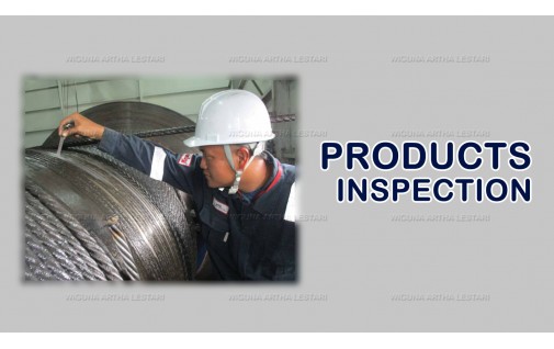 PRODUCTS INSPECTION