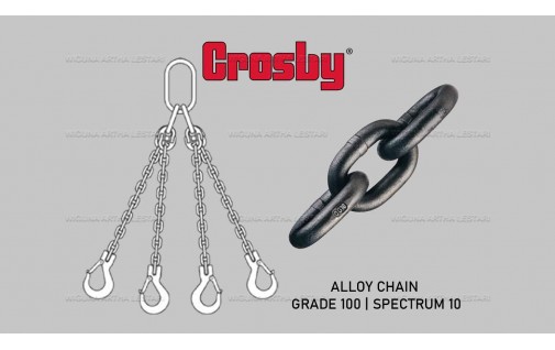 SPECTRUM 10 / GRADE 100 ALLOY CHAIN