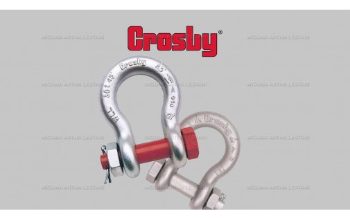 ALLOY BOLT SHACKLES G-2130A | G-2140