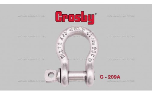 ALLOY SCREW PIN SHACKLES G-209A