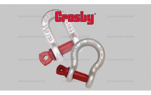 SCREW PIN SHACKLES G-209 | G-210